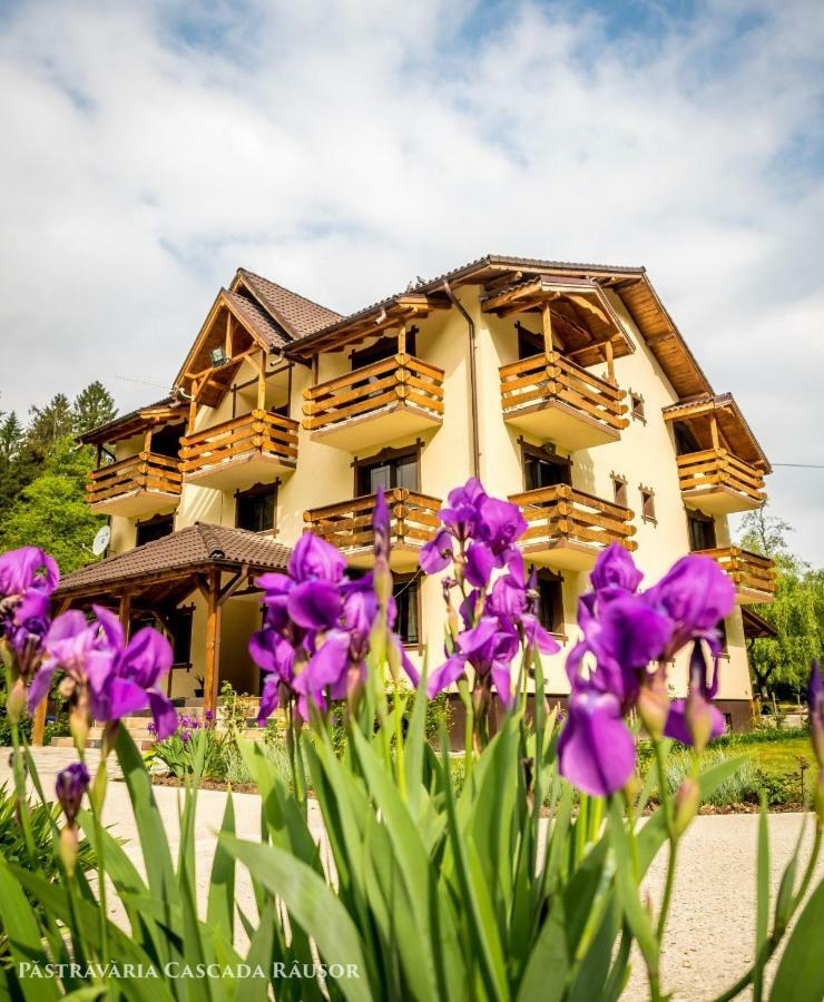 Pastravaria Cascada Rausor Hotel Berevoesti Kültér fotó
